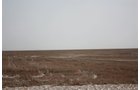 Property photo 36 - Kansas Land Auction - 960 Acres - 7 Farms in 3 Counties